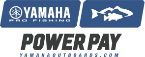 Powerpay logo